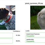 Optimize pet profiles for Purina’s Petfinder application using Amazon Rekognition Custom Labels and AWS Step Functions