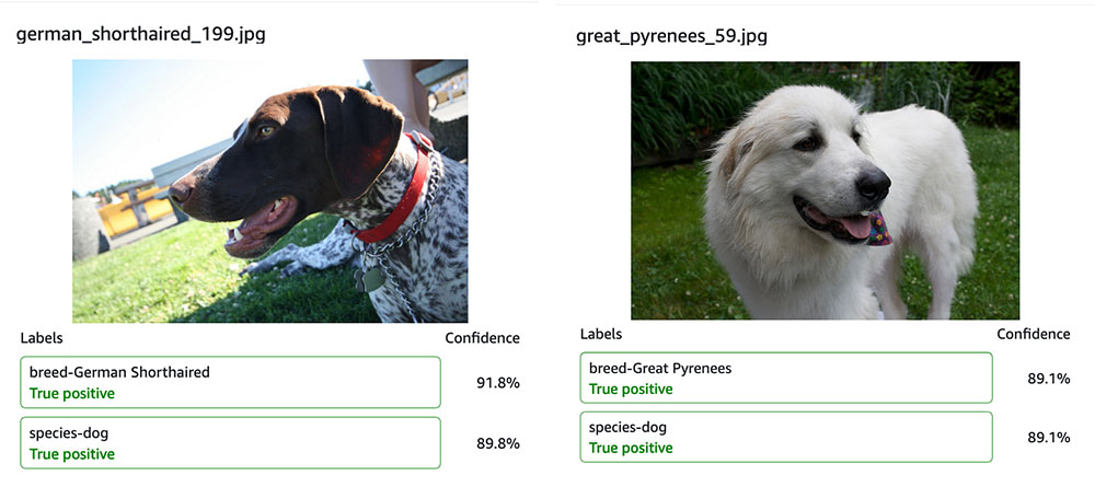 Optimize pet profiles for Purina’s Petfinder application using Amazon Rekognition Custom Labels and AWS Step Functions