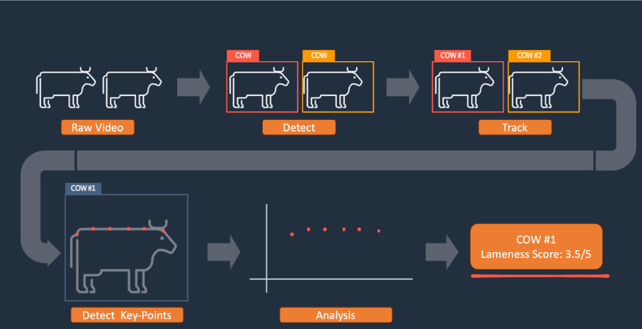 Keeping an eye on your cattle using AI technology