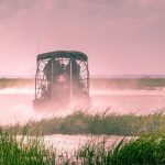 10 Best Everglades Airboat Tours, Florida